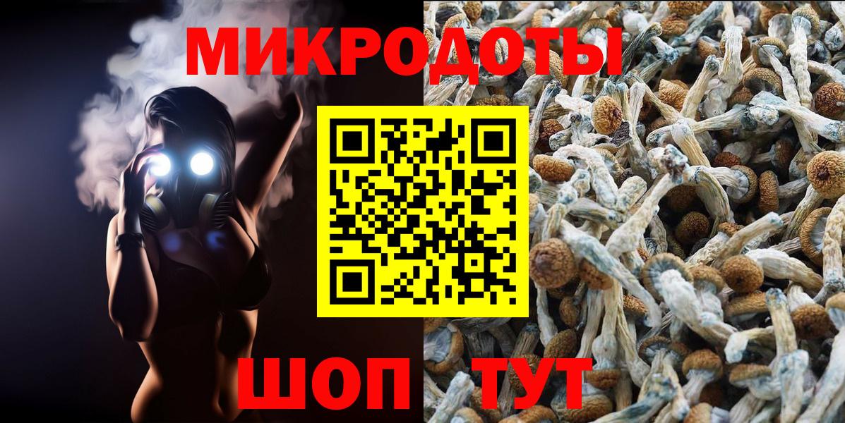 Славгород  Псилоцибиновые грибы Psilocybine cubensis  Вход с VPN 