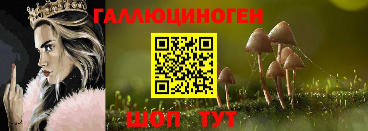 Псилоцибиновые грибы ЛСД Славгород